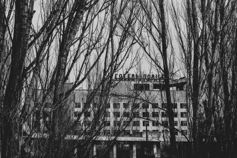 trees and a building that is in the background