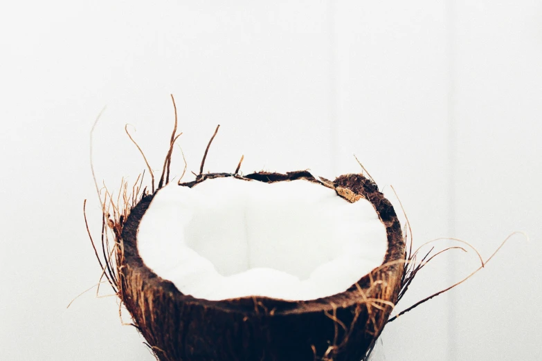 an open half of a coconut on a white surface