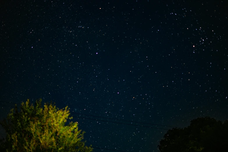 the night sky is full of stars and some trees