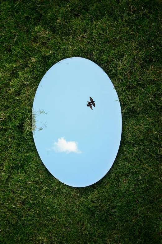 an empty round mirror with a bird flying overhead