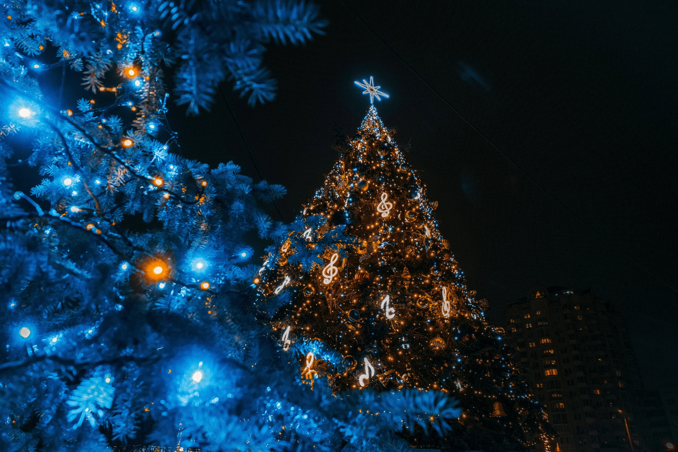 a big light up christmas tree in the dark