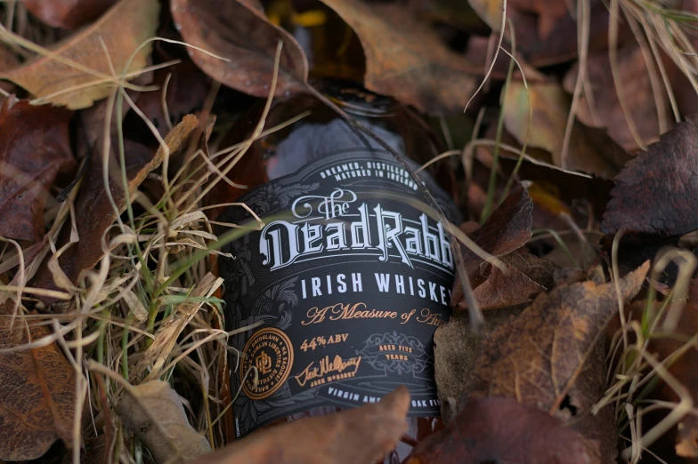 a bottle of dead rain irish whiskey sits among leaves