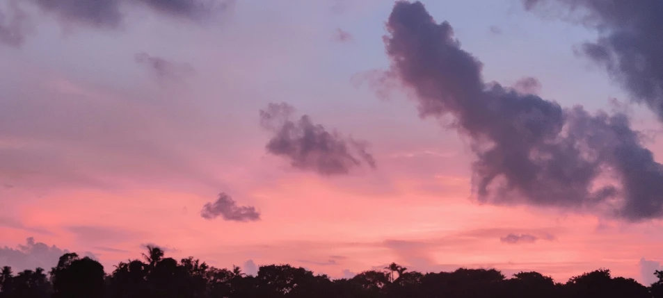 the silhouettes of trees, clouds, and a blue sky