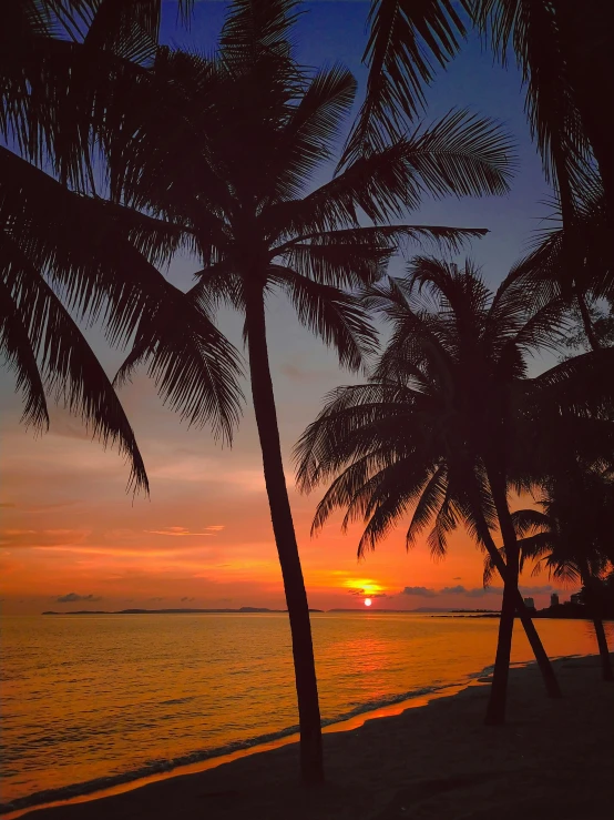 a sunset over the ocean with palm trees and the ocean in the distance