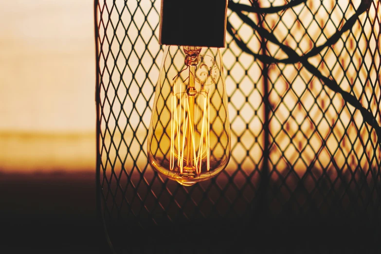 light bulb inside of a decorative cage in the light