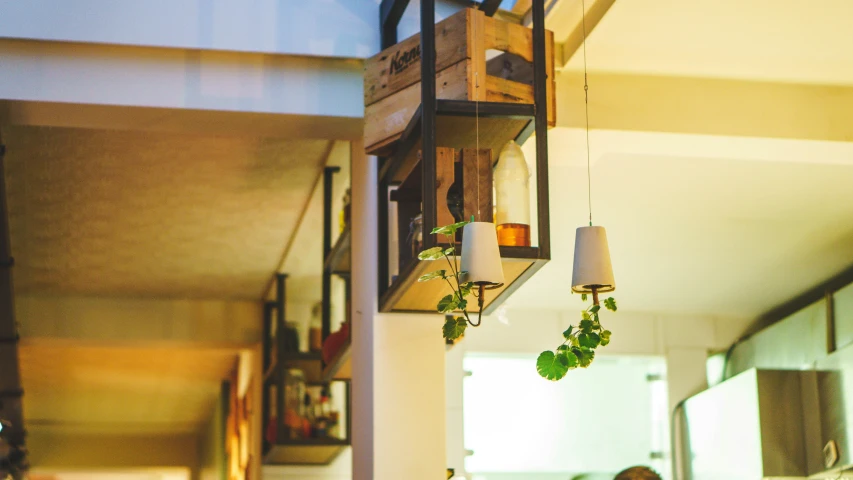 some lights hanging from a ceiling and plant pots