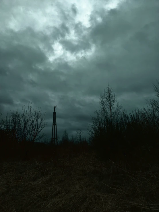 a tall structure in the middle of a forest under a cloudy sky