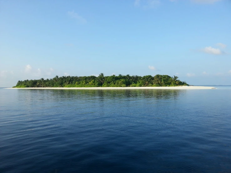 an island with trees is surrounded by water