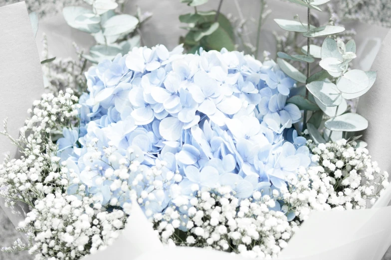 several shades of blue flowers in white vases