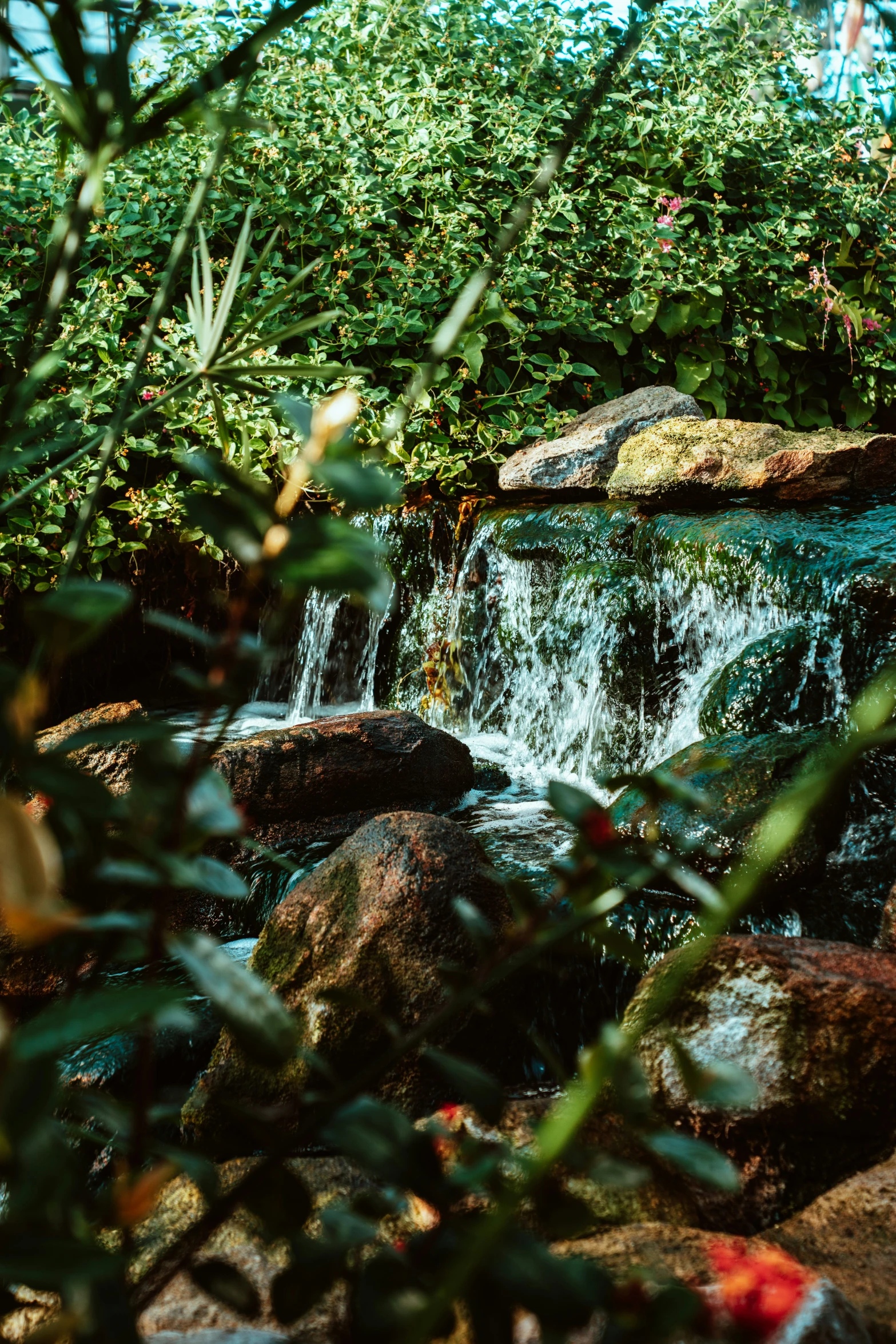 water flowing between rocks and plants with a man walking by