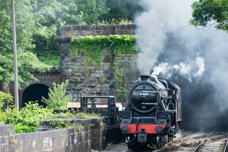 steam train going through a tunnel on the tracks