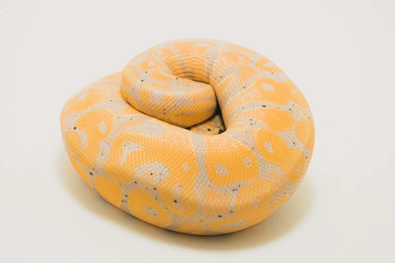 a stuffed animal yellow and black on an orange white table