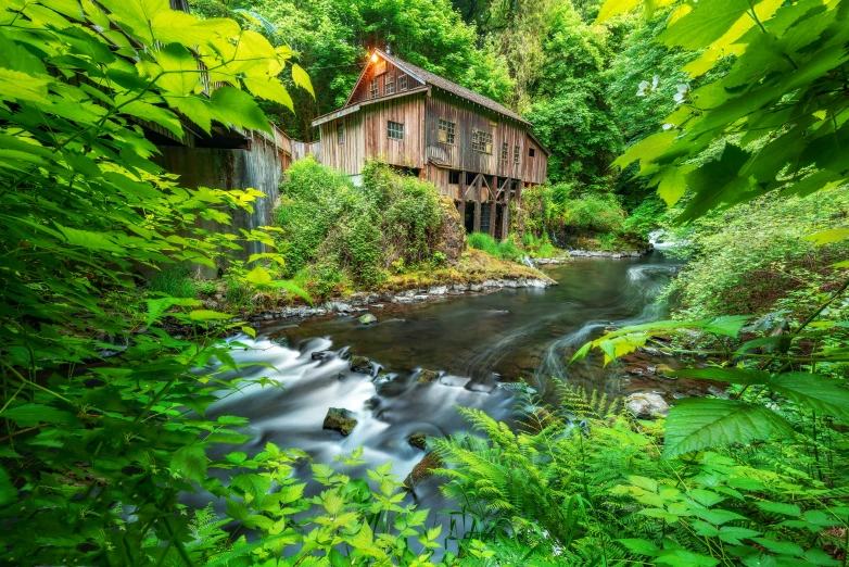 a small, old mill nestled within lush greenery