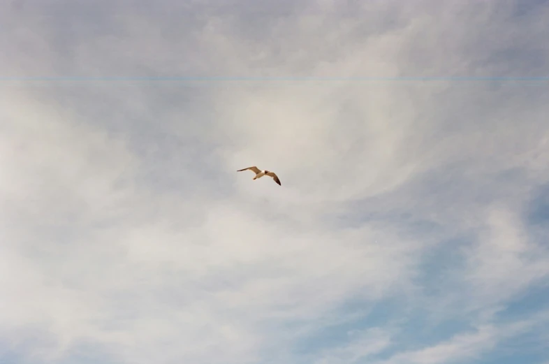 a bird flying through a cloudy sky in a field