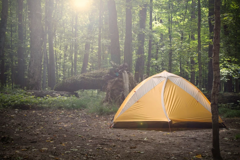 a tent sitting on the ground in front of trees