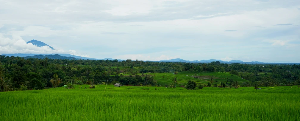 a green field and mountains on a cloudy day