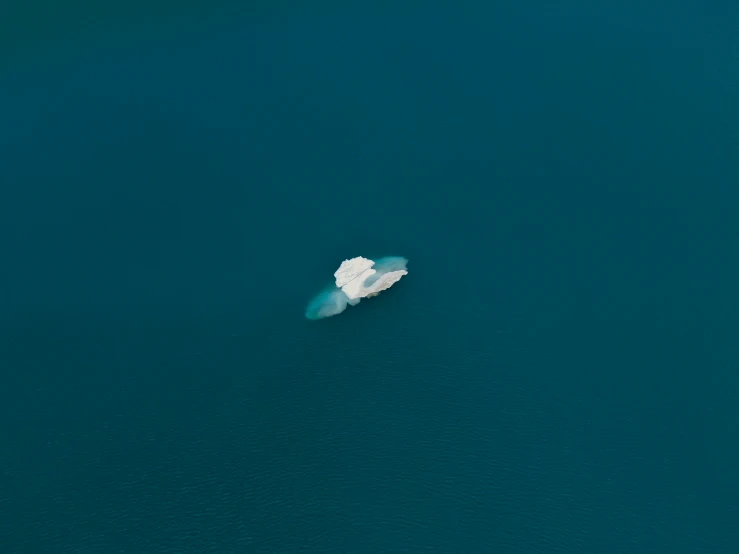 the view from a plane of a white sea and an iceberg