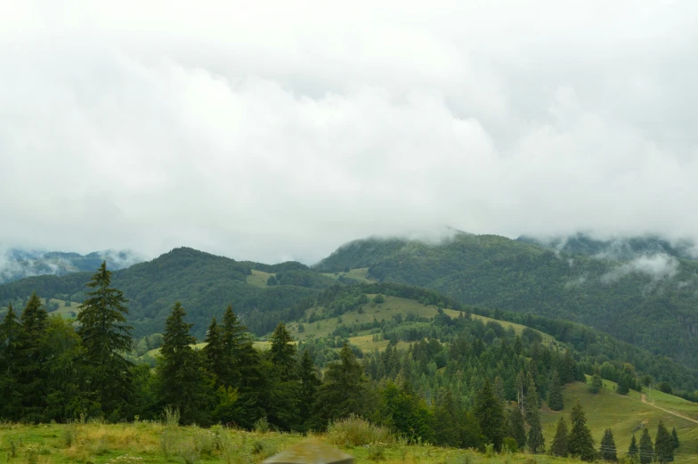 a green field with mountains in the background