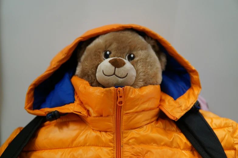 a teddy bear in a orange and blue coat