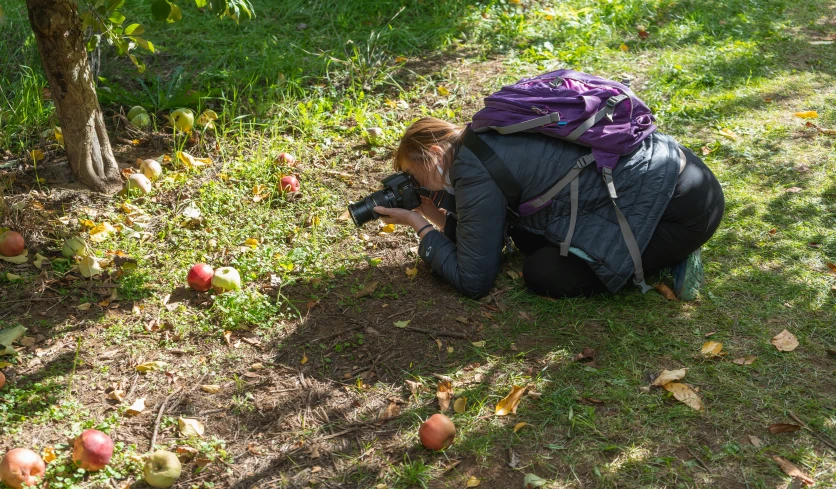 a woman kneeling down in the grass looking at apples