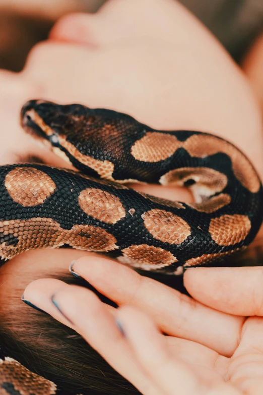 a snake on someone's stomach with its head in the hands