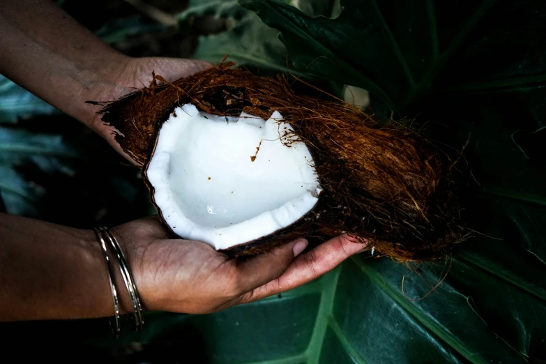 a person holding coconuts with some white liquid in them