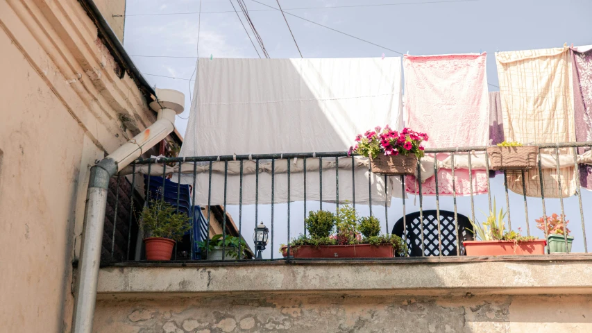 several flowers sit in a planter outside of a window