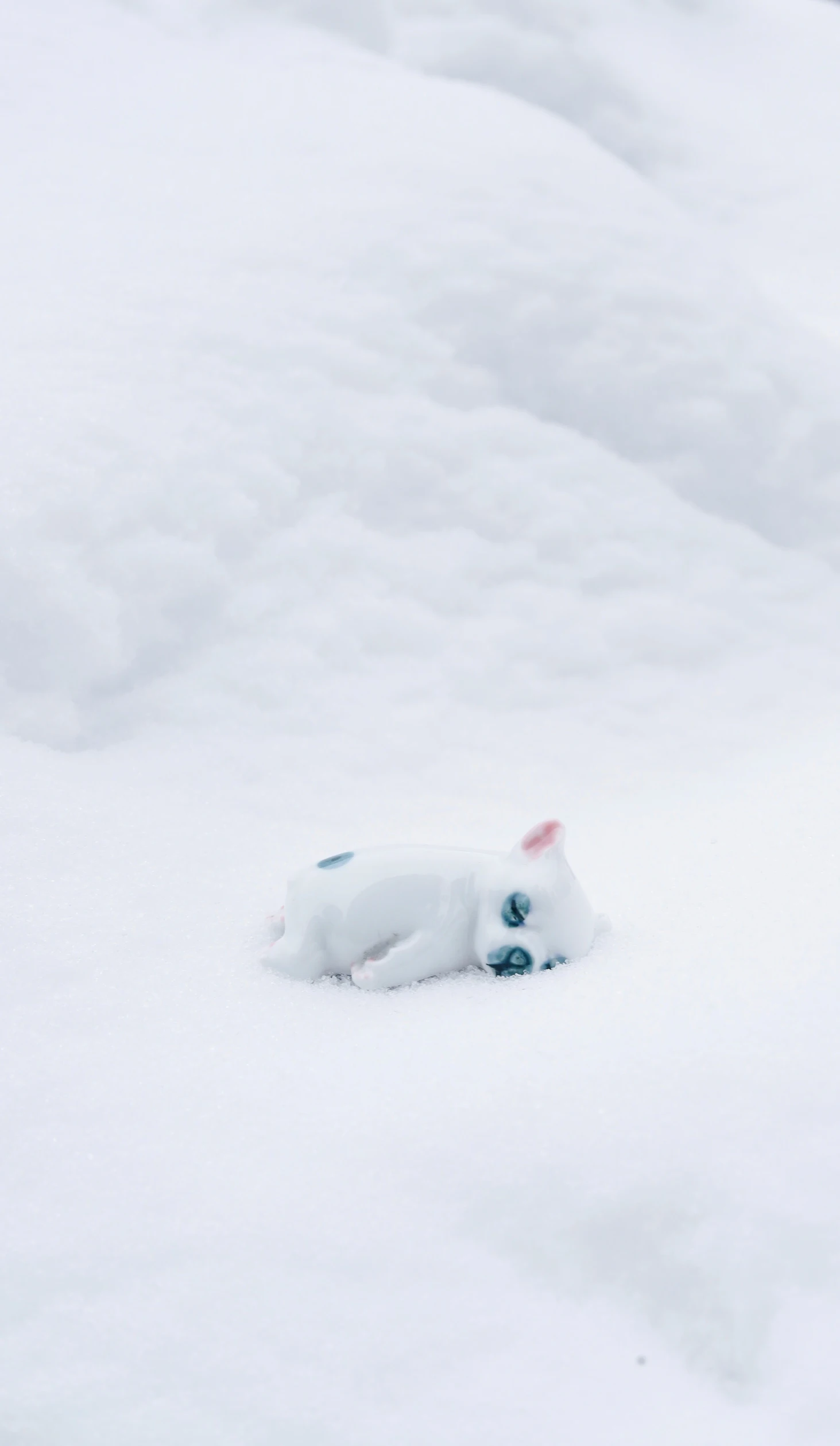 a cat toy sits alone in the snow