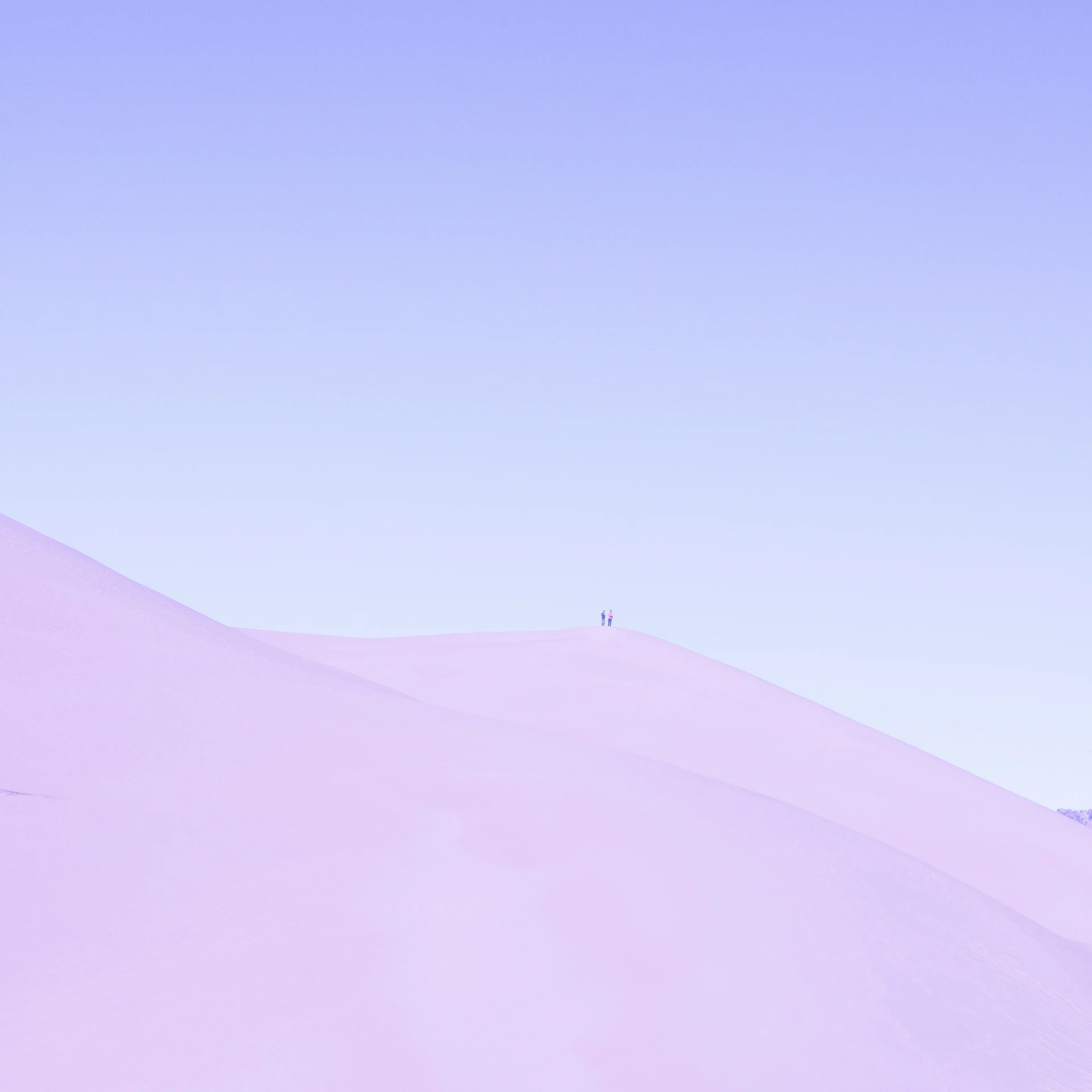 a lone person standing on top of a pink hill