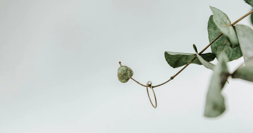 a small green insect sitting on a nch