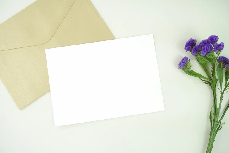 three flowers are next to an empty card and envelope