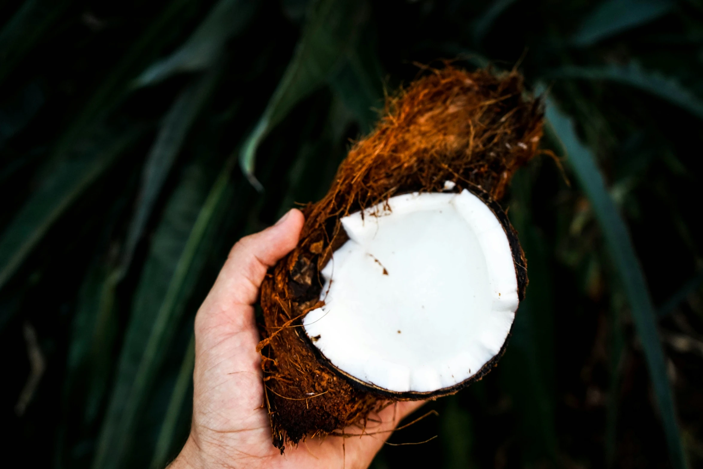 a person's hand holding a half eaten coconut in front of some palm trees