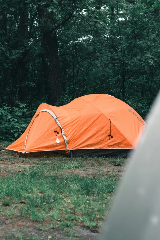 a orange tent in a field with trees behind it