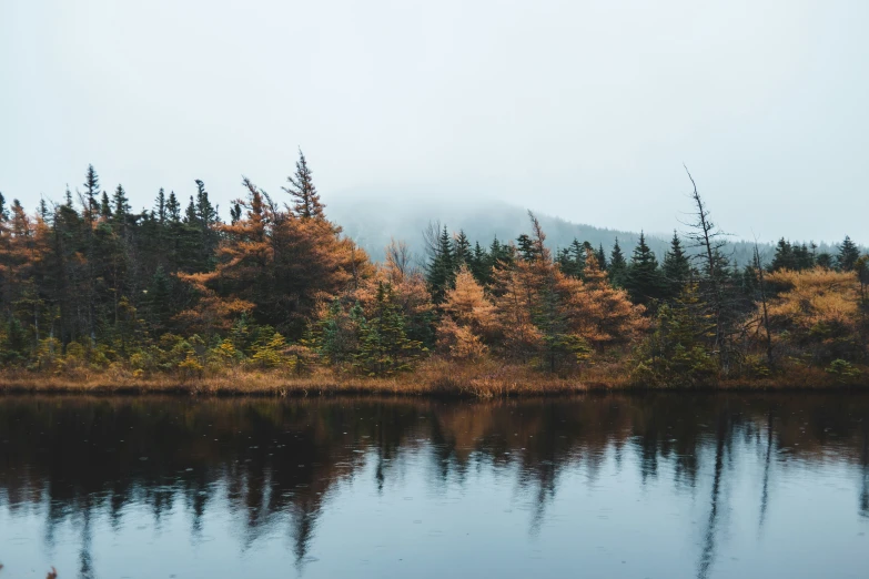 fog over the forest reflecting in the water