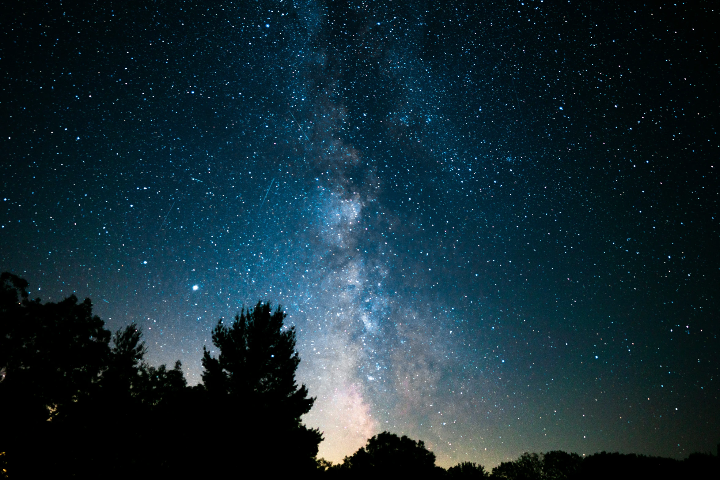 the night sky has many stars and trees