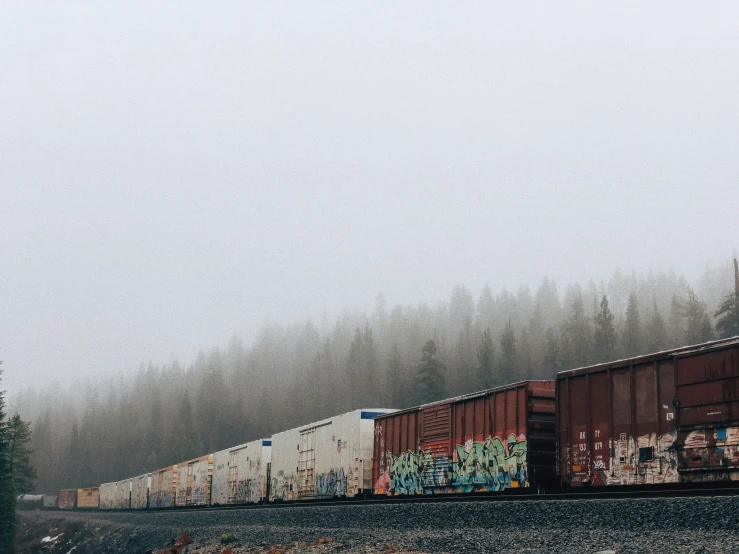 a train is moving on a foggy day
