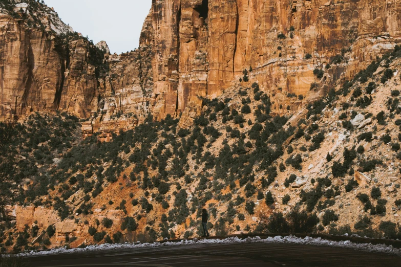 a cliff with trees that are very tall