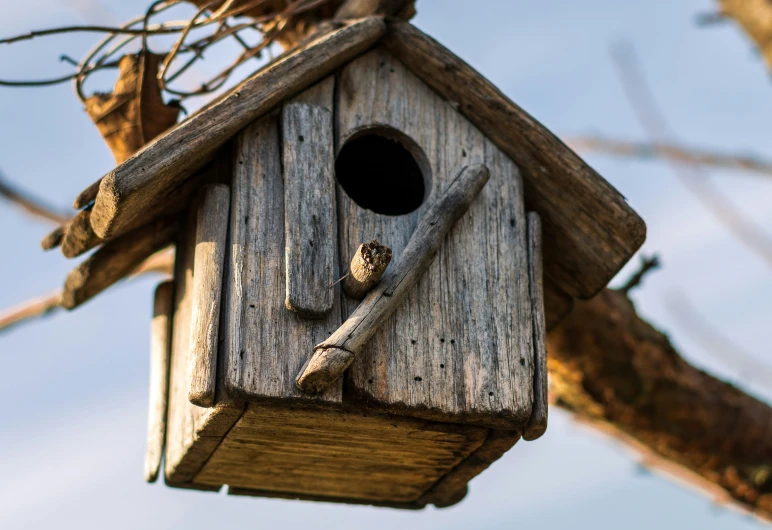 a birdhouse made of wood and nches on a tree