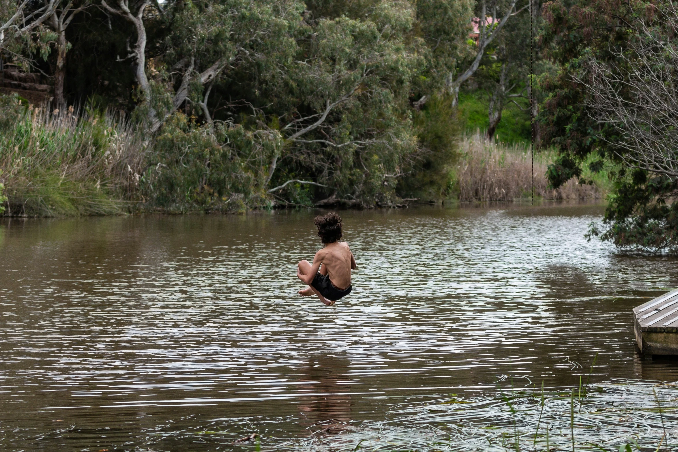 two people jumping into the water near wooden pier