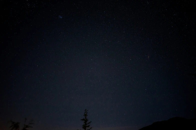 some trees some snow and stars in the sky