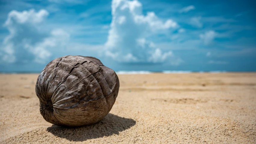 the brown ball of sand has been placed next to it