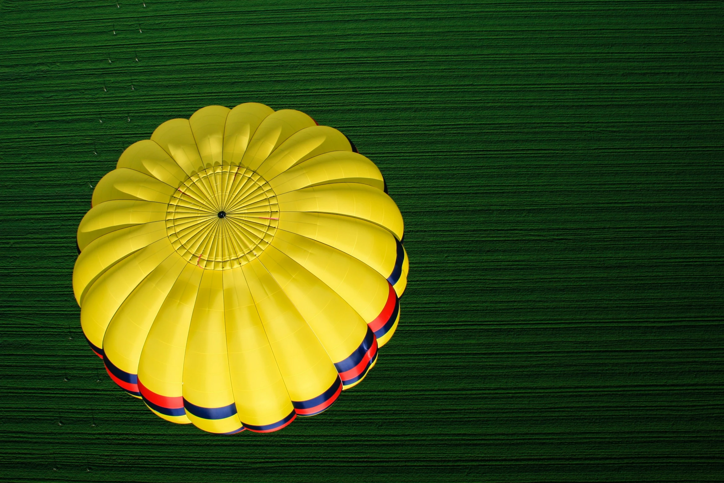 the top view of a balloon sitting in the grass