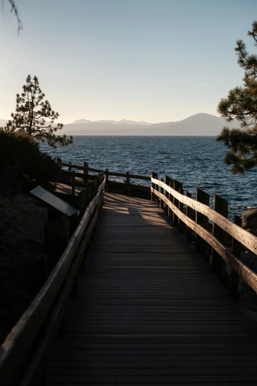 the pathway leads to a shore line along with the ocean