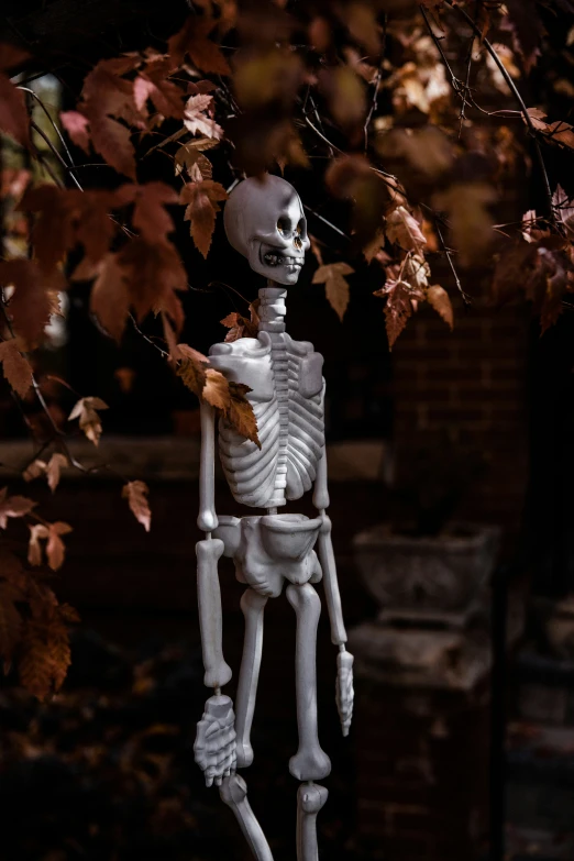 a skeleton holding autumn leaves near a brick building
