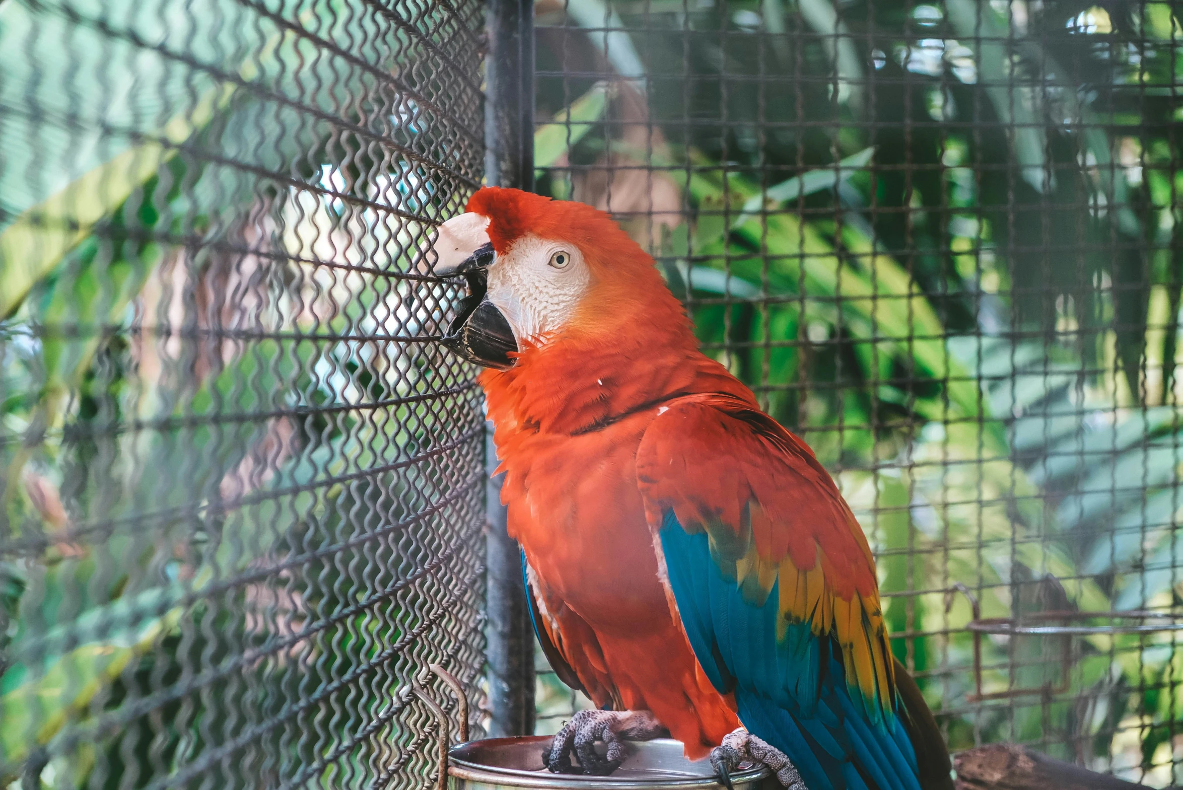 a bird perched on top of a metal cup