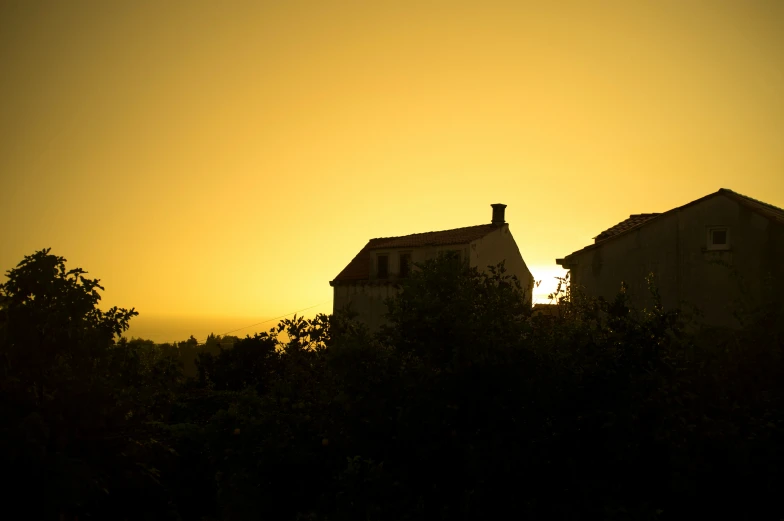 the silhouette of two buildings with trees surrounding them