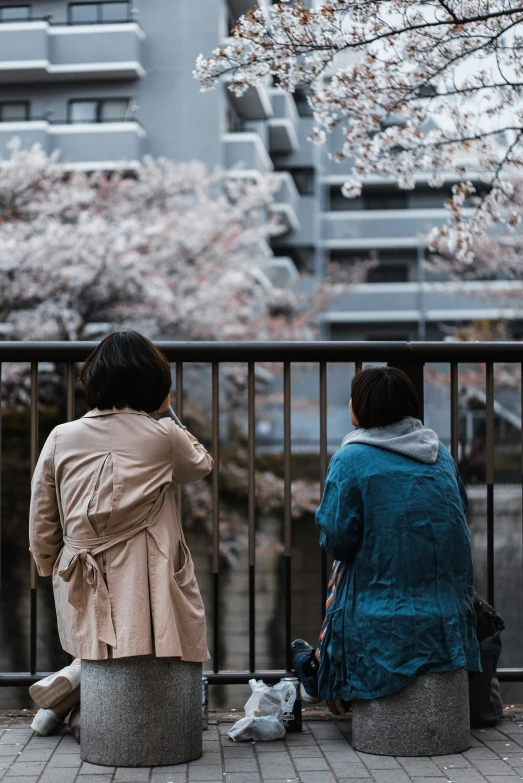 two young women sitting on cement benches under a tree