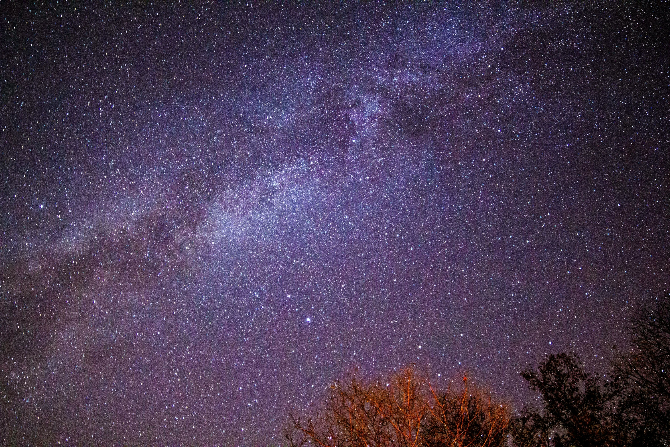 the night sky is filled with stars and trees