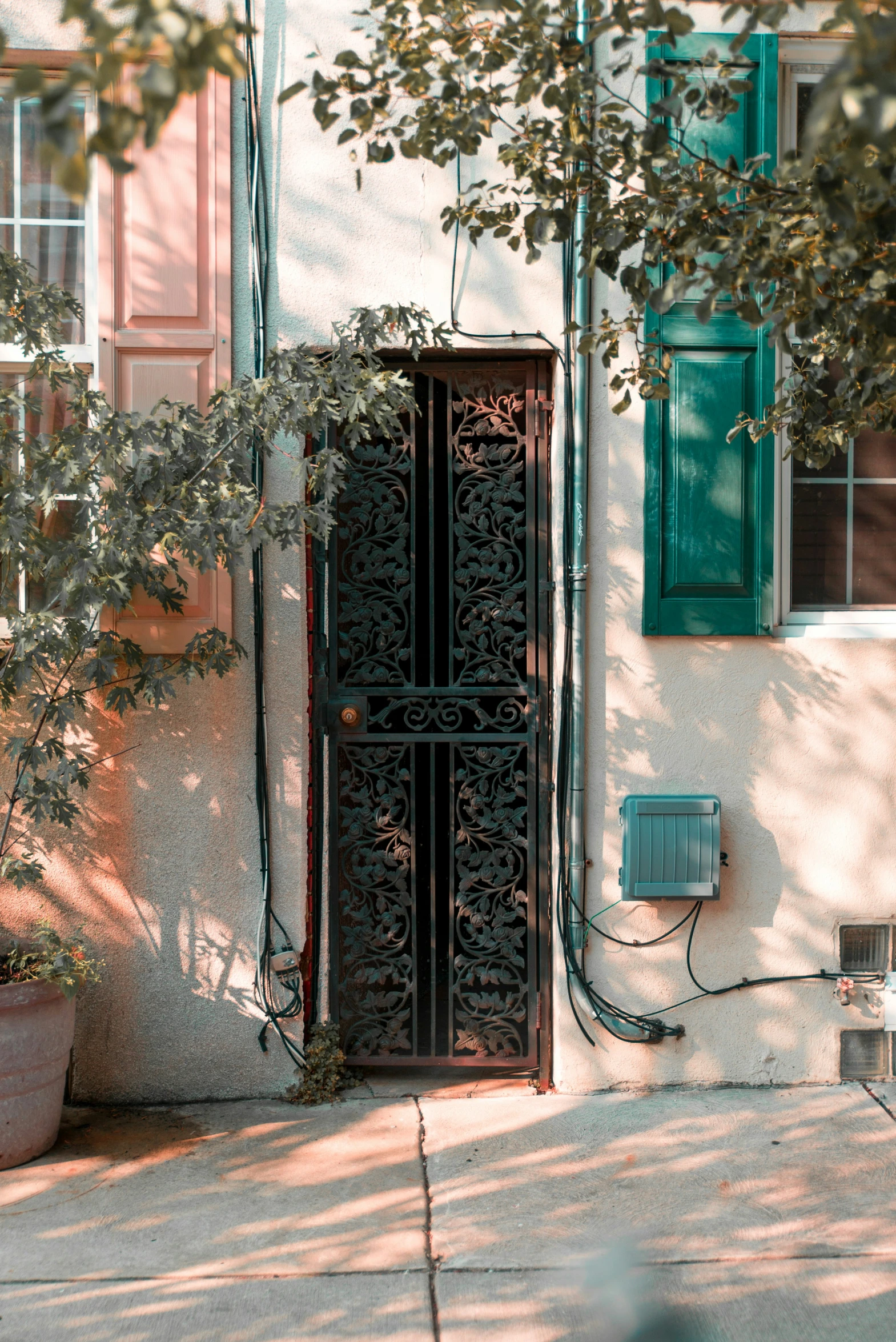 a gate outside a building with green shutters and plants