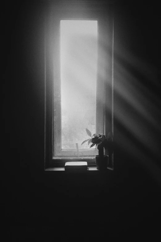 black and white pograph of window sill with sun shining in